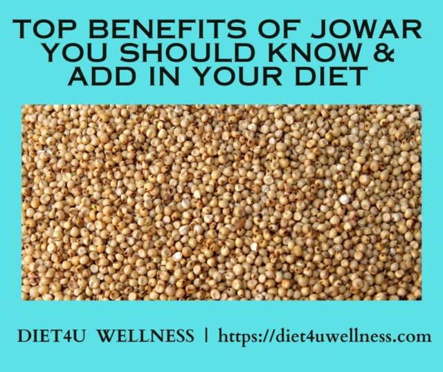 Jowar Benefits, Nutrition, Recipes & Uses
