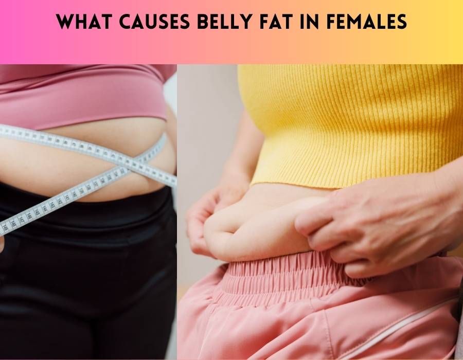 What Causes Belly Fat in Females