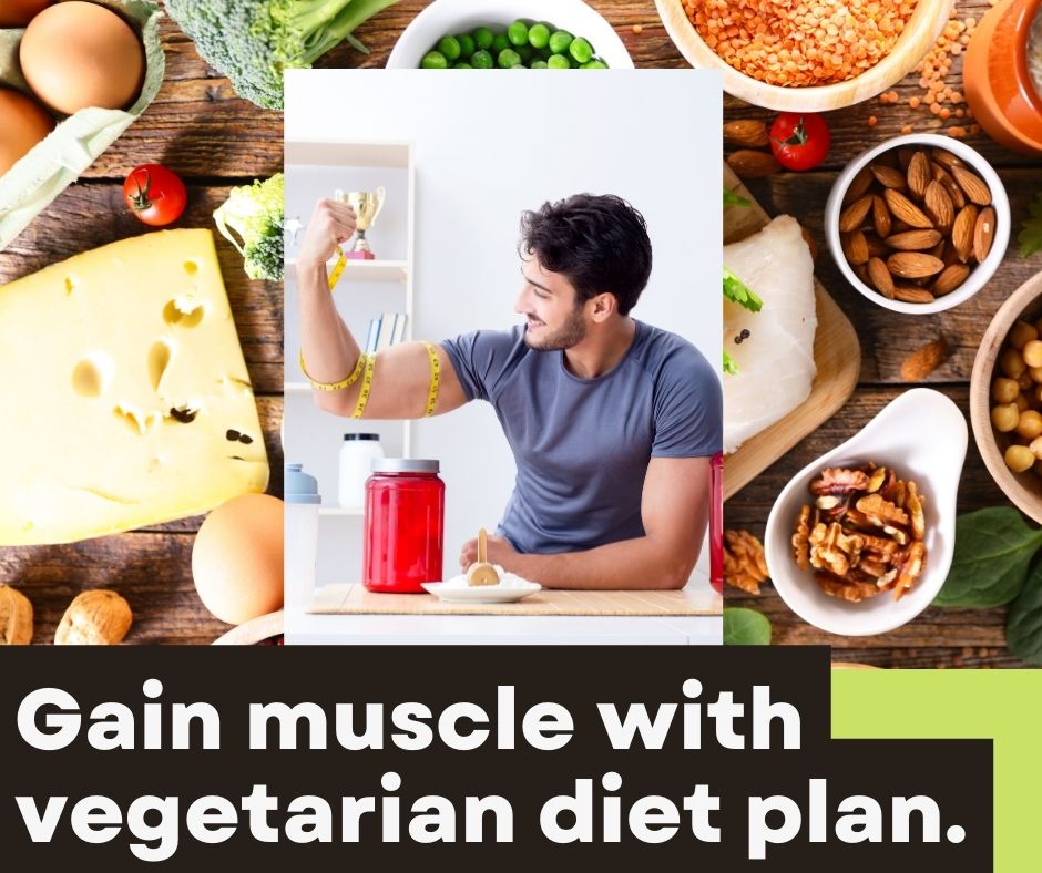vegetarian diet plan for muscle gain
