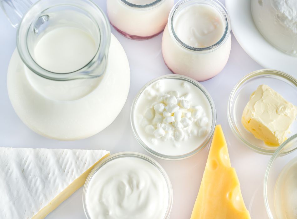 Dairy and its alternatives for healthy and junk food chart