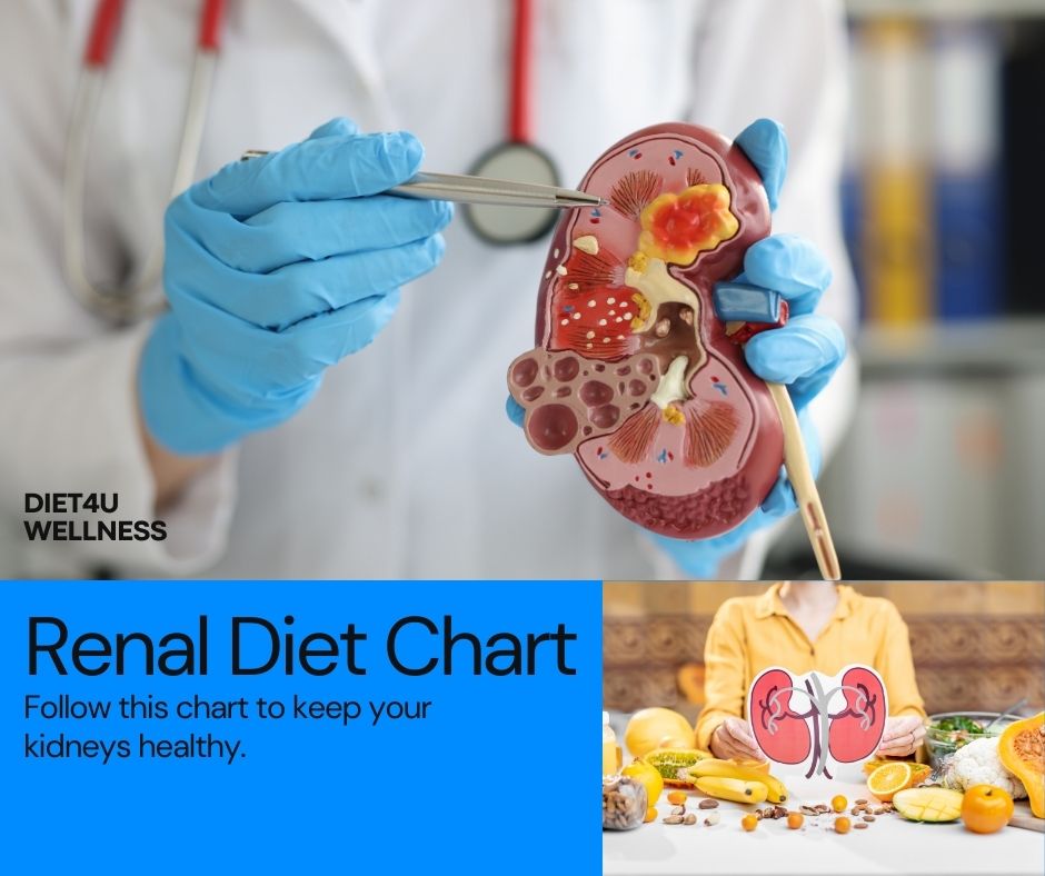 renal diet chart