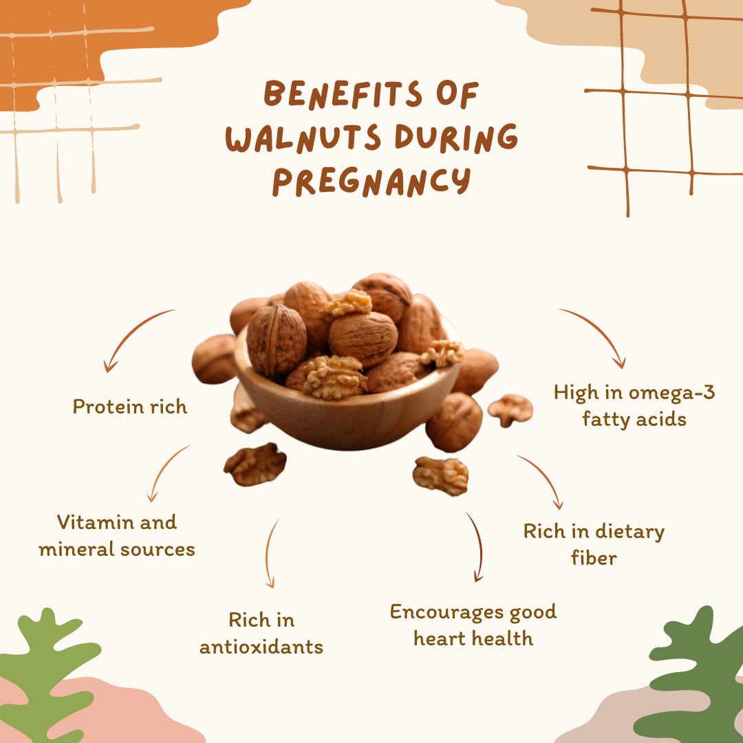 Benefits Of Walnuts During Pregnancy